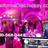 Bay Area Disc Jockey image 1